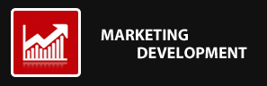 Marketing Development